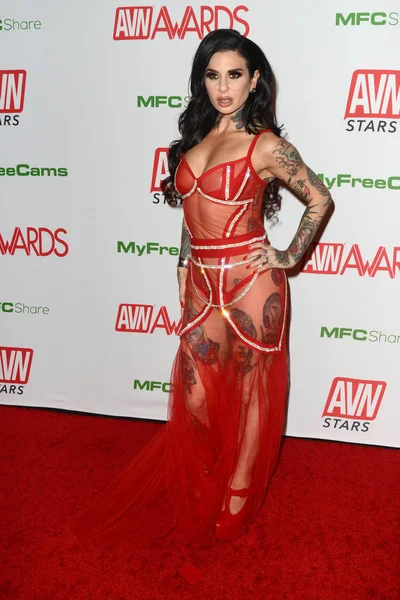 2020 AVN (Adult Video News) Awards — Stock Photo, Image