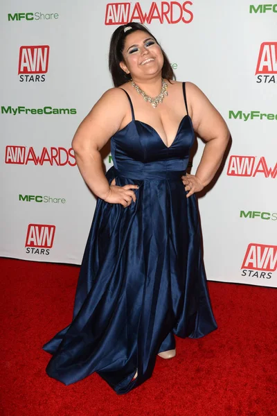 Premios AVN 2020 (Adult Video News) — Foto de Stock