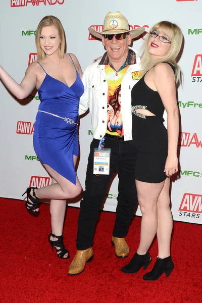 Premi AVN 2020 (Adult Video News) — Foto Stock