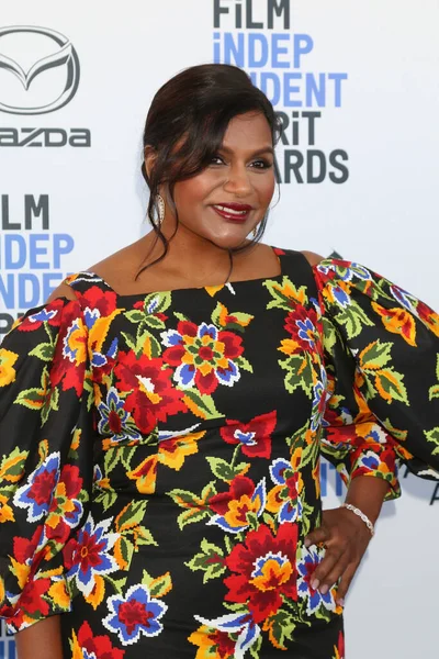 2020 Film Independent Spirit Awards — Stockfoto