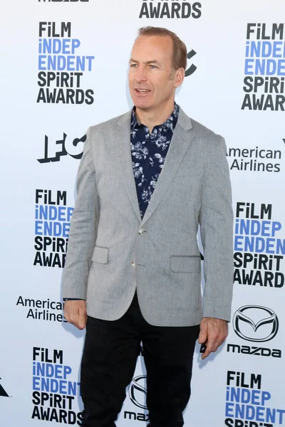 2020 Film Independent Spirit Awards — Stock fotografie