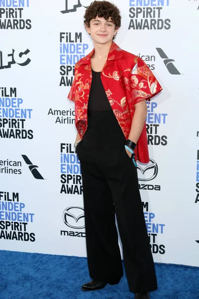 Premios Film Independent Spirit 2020 — Foto de Stock