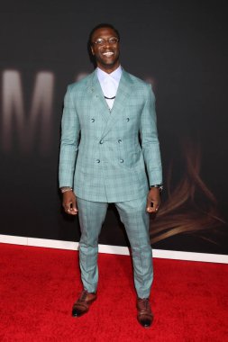 Los Angeles - 24 Şubat 2020 'de Los Angeles' taki Tcl Çin Tiyatrosu 'nda 