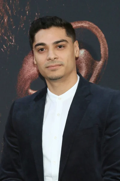 stock image LOS ANGELES - MAR 1:  Fernando Luis Vega at the The Way Back Premiere at the Regal LA Live on March 1, 2020 in Los Angeles, CA