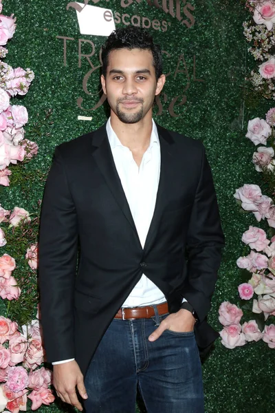 Los Angeles Mar Devin Harris Seagram Escapes Tropical Rose Launch — Stockfoto