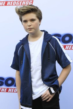 LOS ANGELES - JAN 25:  Hayden Haas at the Sonic The Hedgehog Family Day Event at the Paramount Theatre on January 25, 2020 in Los Angeles, CA