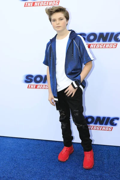 Los Angeles Jan Hayden Haas Sonic Hedgehog Family Day Event — Zdjęcie stockowe