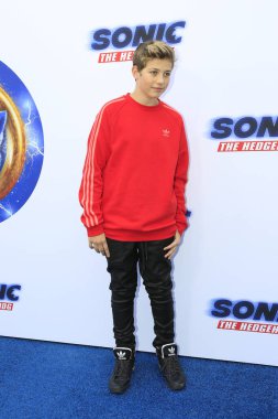 LOS ANGELES - JAN 25:  Walker Bryant at the Sonic The Hedgehog Family Day Event at the Paramount Theatre on January 25, 2020 in Los Angeles, CA