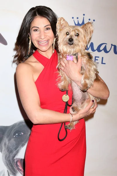 Los Angeles Jan Larissa Wohl 2019 American Rescue Dog Show — Stock Photo, Image