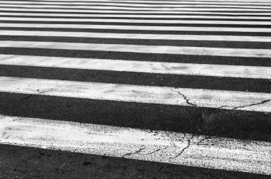 Zebra trafik yürüyüş yolu