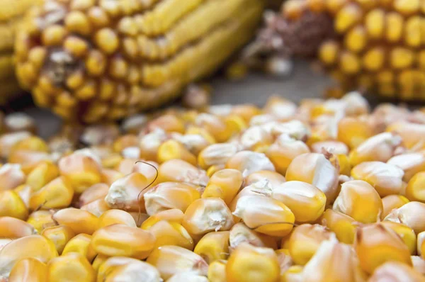 Kernel corn beans. — Stock Photo, Image