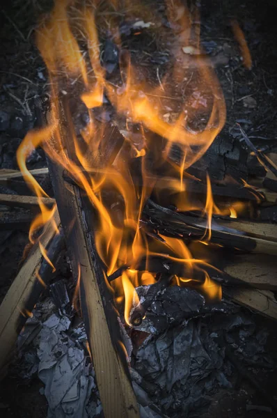 Flammen am Lagerfeuer im Wald. — Stockbild Feuer auf einem Campingplatz in unmittelbarer Nähe. — Stockfoto