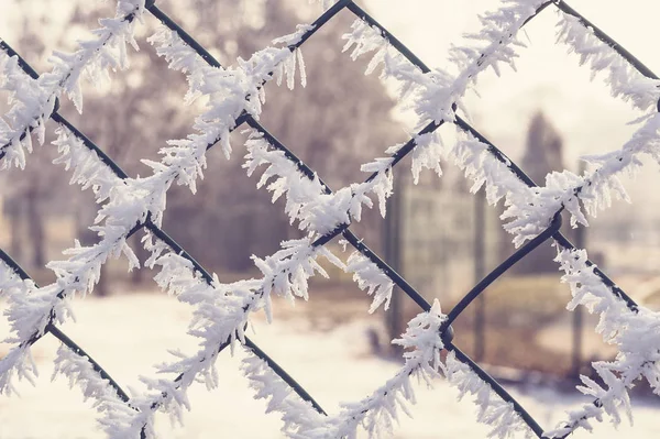 霜で覆われた柵は. — ストック写真
