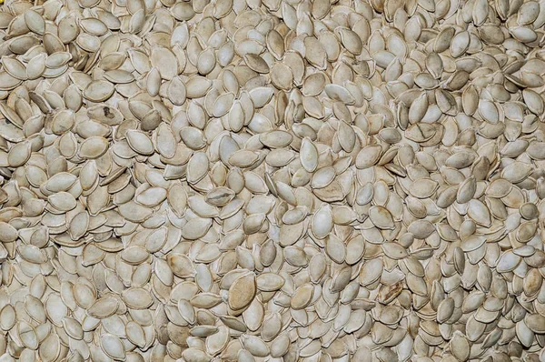 Detalle del fondo de las semillas de calabaza — Foto de Stock