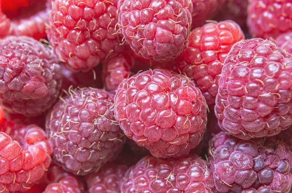 Close up de framboesas doces fruta . — Fotografia de Stock