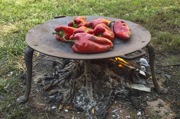 Geroosterde rode paprika's op de barbecue — Stockfoto