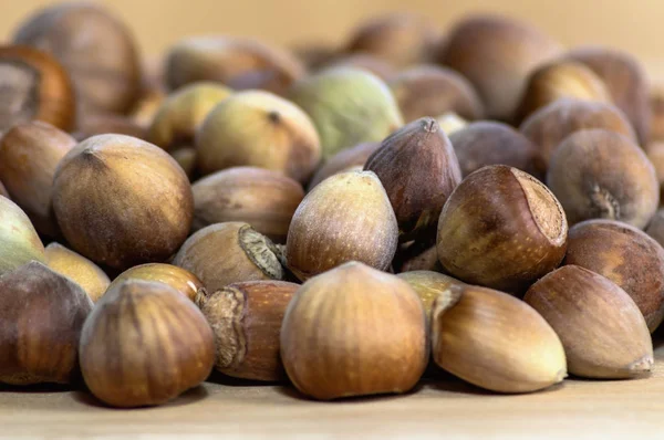 Haldy lískových ořechů jako pozadí — Stock fotografie