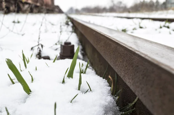 Χιονισμένο σιδηροδρομικές γραμμές μιας χειμερινής μέρας — Φωτογραφία Αρχείου