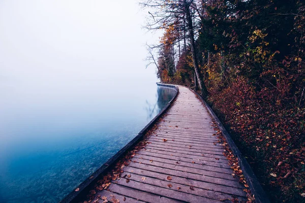 Caminata Junto Lago Una Mañana Misteriosa — Foto de Stock