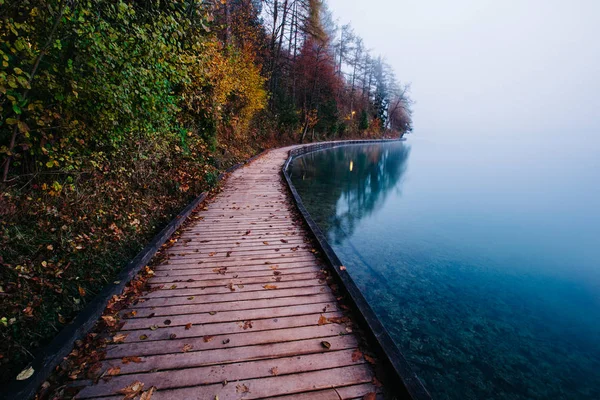 Path Lake Misty Morning — Stock Photo, Image