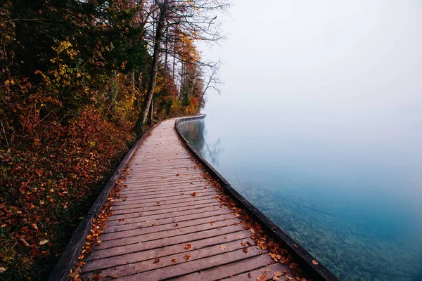 雾蒙蒙的早晨 湖边小路 — 图库照片