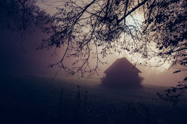 Spooky Background Dark Forest View Old House — Stock Photo, Image