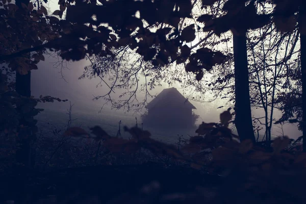 Spooky Background Dark Forest View Old House — Stock Photo, Image