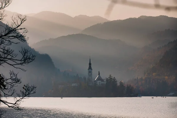 Tarde Luz Lago Bled Eslovenia Europa Iglesia San Martín Segundo — Foto de Stock