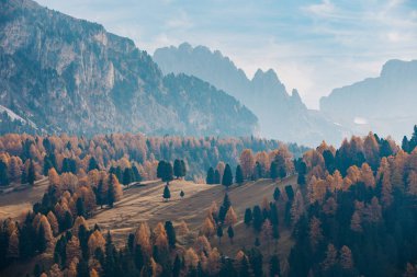 Val Gardena, Güney Tirol, İtalya ve Avrupa 'da arka planda güzel dağların olduğu bir tepe manzarası.