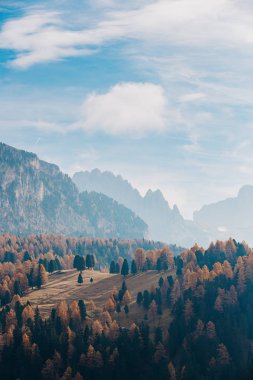 Val Gardena, Güney Tirol, İtalya ve Avrupa 'da arka planda güzel dağların olduğu bir tepe manzarası.