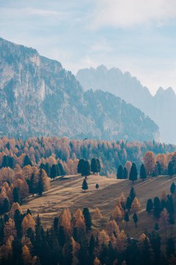 Val Gardena, Güney Tirol, İtalya ve Avrupa 'da arka planda güzel dağların olduğu bir tepe manzarası.