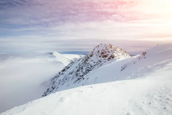 Beautiful Winter Landscape Low Tatra Mountains Peak Chopok — Stock Photo, Image