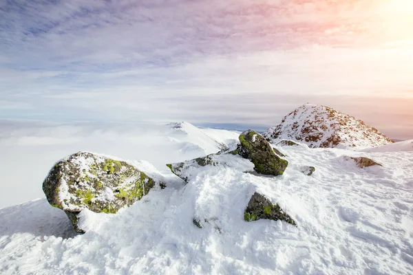 Beautiful Winter Landscape Low Tatra Mountains Peak Chopok — Stock Photo, Image