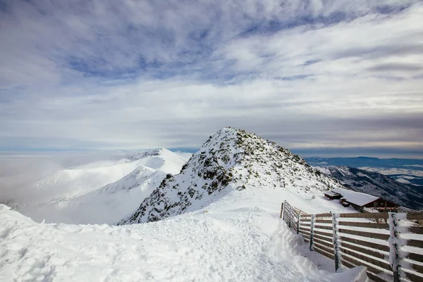 Bela Paisagem Inverno Low Tatra Mountains Pico Chopok — Fotografia de Stock