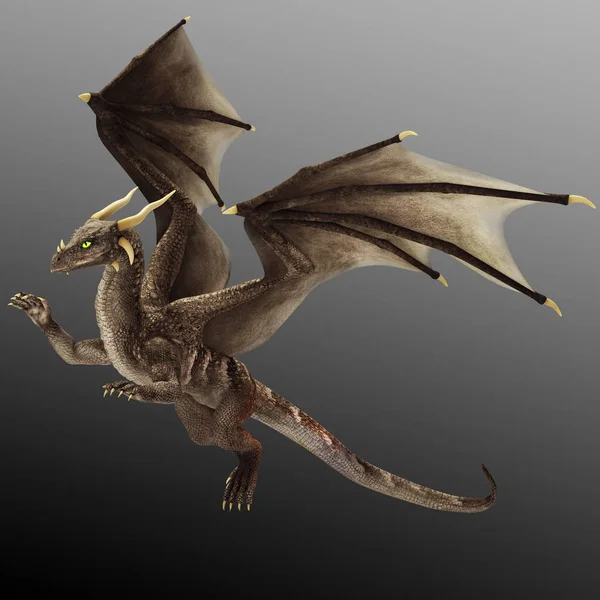 Cgi Fantasy Dragon Wings Brown Gray — Stock Photo, Image