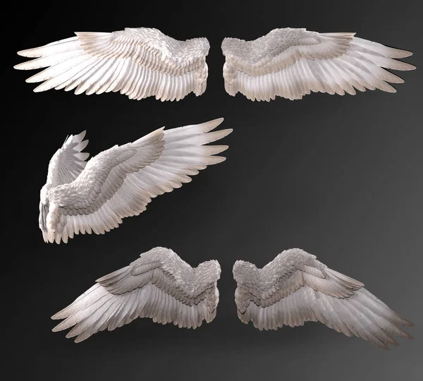 Asas Brancas Isoladas Contra Pano Fundo Angel Dove Wings — Fotografia de Stock