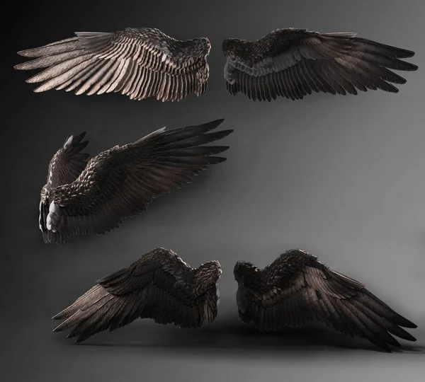 Black Wings Isolated Backdrop Crow Raven Demon Angel Wings — Stock Photo, Image