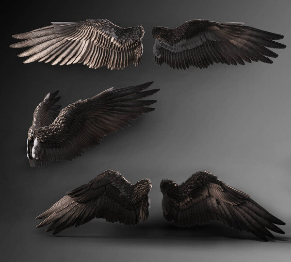 Black Wings isolated against backdrop: Crow, Raven, Demon, Angel Wings