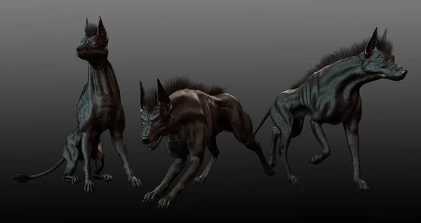 Trio Black Anubis Hounds Hellhound — Stock Photo, Image