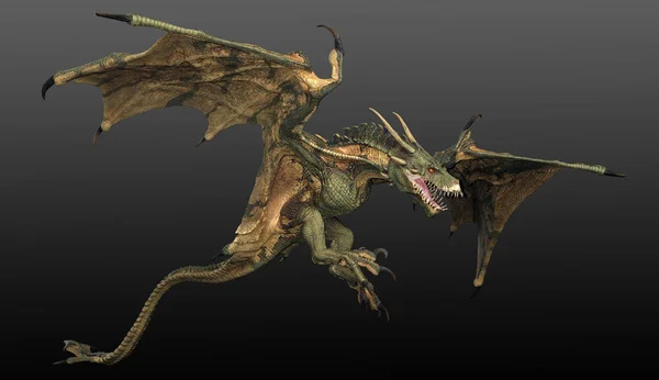 Fantasy Wyvern Vagy Repülő Sárkány Wyrm — Stock Fotó