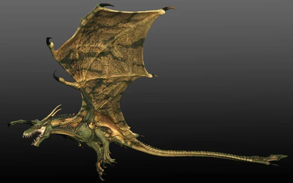 Fantasy Wyvern Vagy Repülő Sárkány Wyrm — Stock Fotó