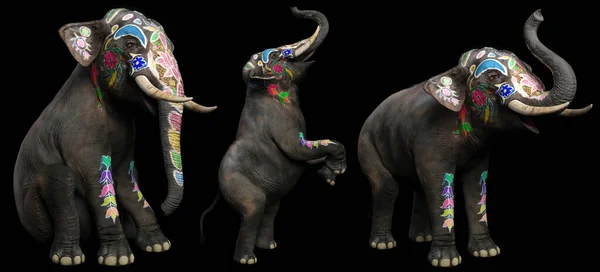 Circus Elephant Various Poses Painted — Stock Photo, Image