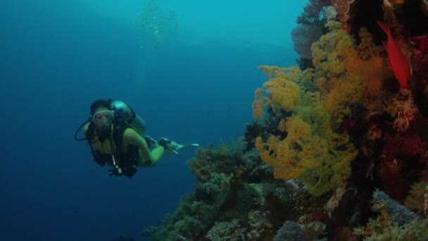 潜水员潜水在五颜六色的珊瑚礁 Wakatobi 印度尼西亚 2107年11月 慢动作 — 图库视频影像