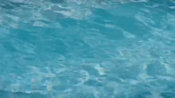 Een Gele Piepende Ducky Familie Het Zwembad Augustus 2017 Duitsland — Stockvideo