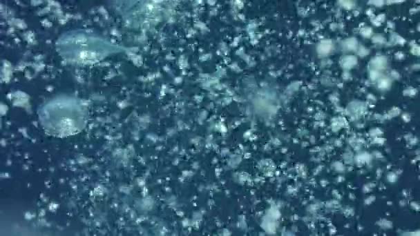 Stoupající Bubliny Odrazy Světla Pod Vodou Indonésie Pomalý Pohyb — Stock video
