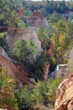 Bir ipucu sonbaharın Providence Kanyon State Park, olarak da bilinen Georgia'nın küçük büyük Kanyon geliştirme