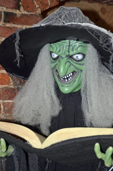Halloween Decoration Witching Looking Her Book Spells — Stock Photo, Image