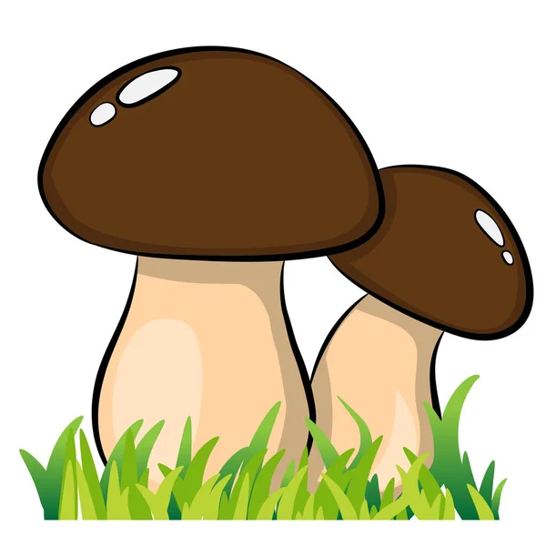 Funghi Cartoni Animati Illustrazioni Vettoriali — Vettoriale Stock