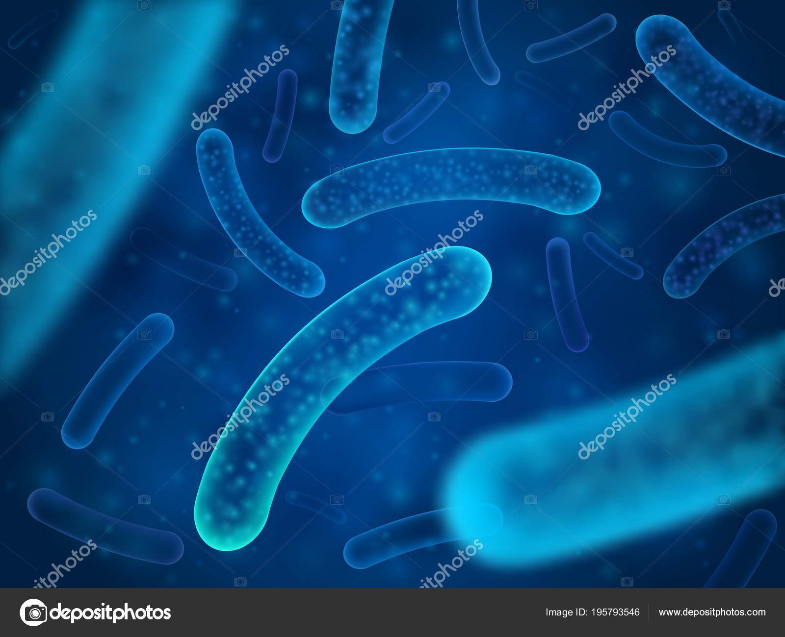 Micro Bacterie En Therapeutische Bacterien Organismen Microscopische Salmonella En Lactobacillus Acidophilus Organisme Vector Achtergrond Vectorafbeelding Door C Tartila Stock Gmail Com Vectorstock 195793546