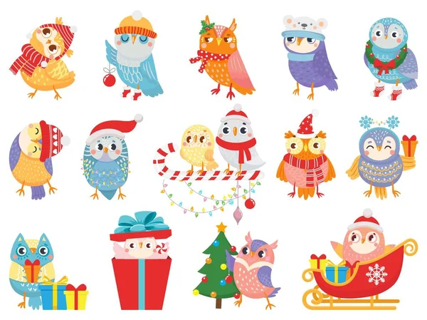 Búho de invierno. Lindos pájaros de Navidad, búhos en bufanda y sombrero y aves mascota vector ilustración conjunto — Vector de stock